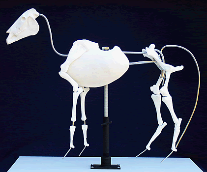 TruForm Equine Armatures