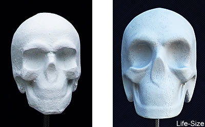 TruForm Skulls